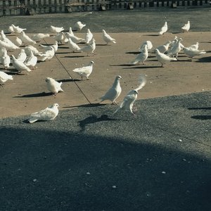 废物海(prod.by keerad)