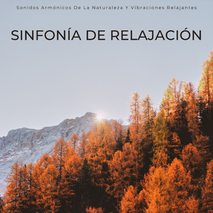 Tranquilidad Melódica