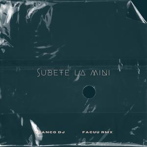 Subete La Mini (feat. Facuu Rmx) (Turreo Edit)