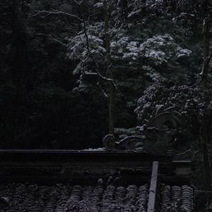 访戴天山道士不遇