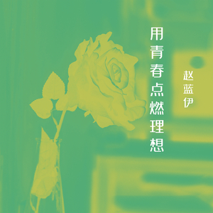 用青春点燃理想