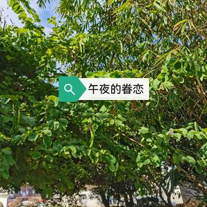 午夜的眷恋（女版）