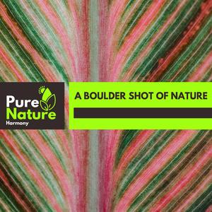 Strikingly Steady Wind