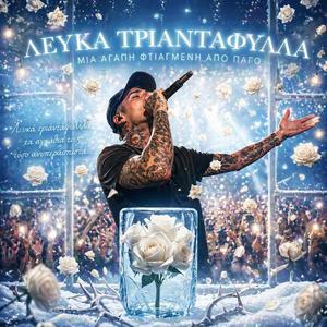 Λευκά τριαντάφυλλα თეთრი ვარდები