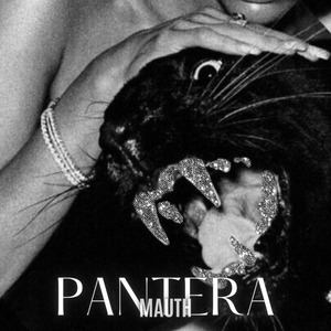 Pantera (Acelerado + Reverb)