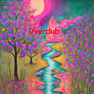 Overdub