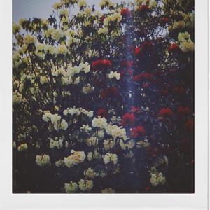 我也不知道我为何离开（prod by Bubbleboy ）