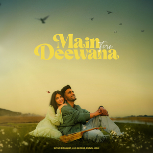 Main Tera Deewana