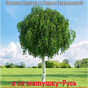 Я за матушку-Русь