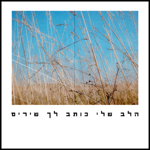 הלב שלי כותב לך שירים