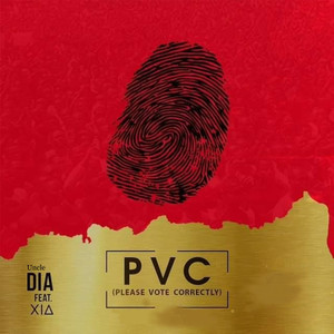 PVC (Please Vote Correctly)