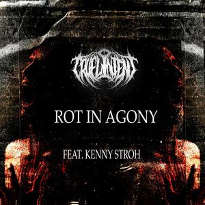 Rot In Agony (feat. Kenny Stroh & DeadVectors)