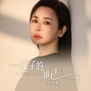 一辈子的知己 (DJ彭锐版)