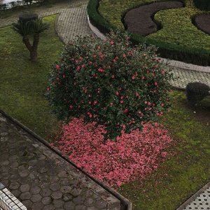 星光下的思念-Keven-KK.mp3