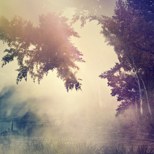 Violante (Home Edit by Warmth)