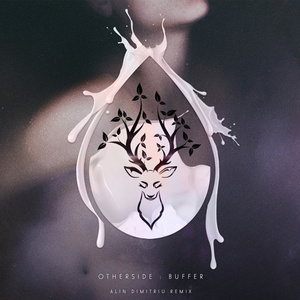 Buffer (Alin Dimitriu Remix)