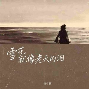 雪花就像老天的泪