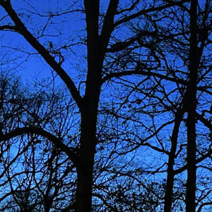 all the other things