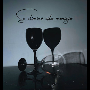 Se eliminó este mensaje