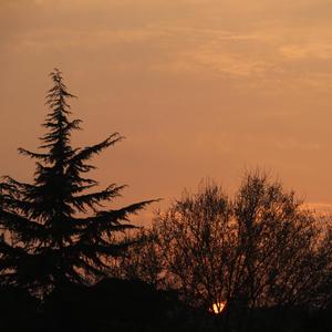 那个短发姑娘（cover：杨力）