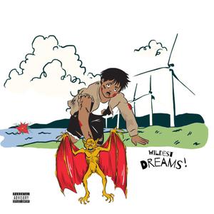 WILDEST DREAMS