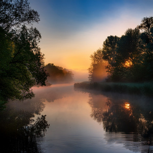 Dreaming Under The Stars