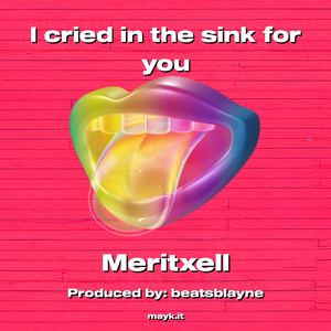 I cried in the sink for you