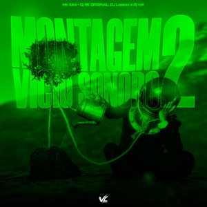 Montagem Vicio Sonoro 2