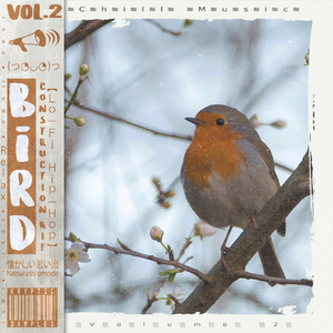 Kryptic Samples — Fall