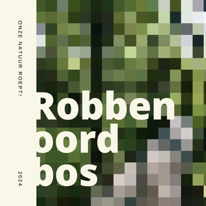 Robbenoordbos - Noord Holland