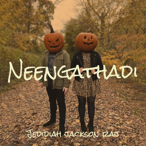 Neengathadi