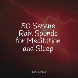 Seagulls on the Beach (Relaxing Ocean Waves)