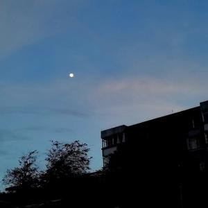 Daydream[Instrumental](白日夢）