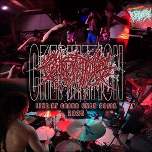 Vicious Entwattering of Obstinant Nepotistic Shithouses (Live)