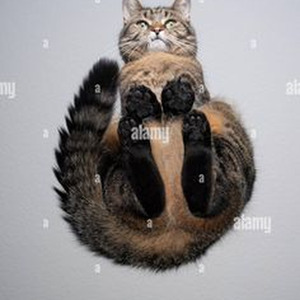 Future Bright (sped up)