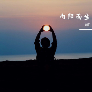 向阳而生