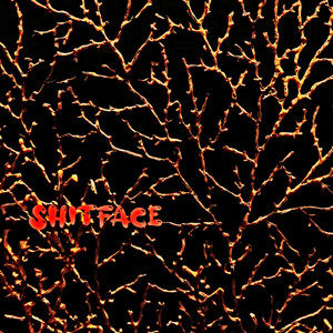 Shitface