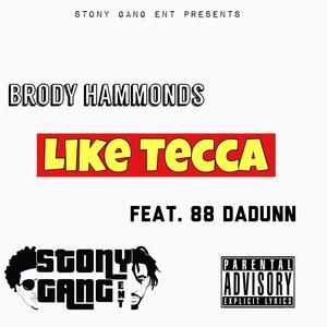 Like Tecca (feat. 88 DaDunn)