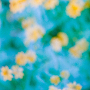 춤추는 당신을 보았을 때