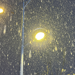 雪落楼台