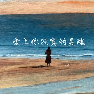 爱上你寂寞的灵魂 (深情女生版)