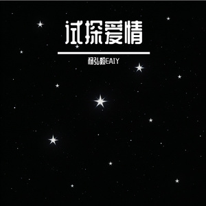 试探爱情