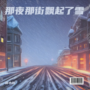 那夜那街飘起来雪