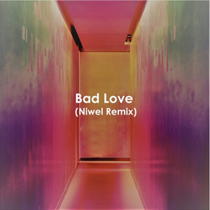 Bad Love (Niwel Instrumental Remix)