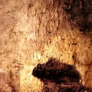 Love, Knowledge and Self-Sacrifice