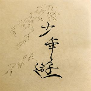 不复年少