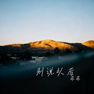别说以后 (Cover 王佳音)