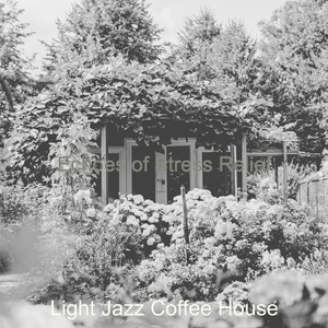 Peaceful - Soundscapes for Working from Home