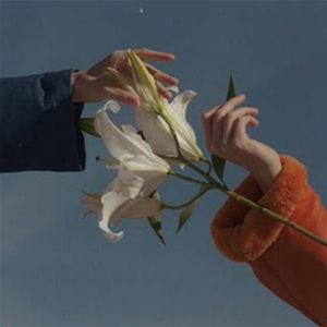 【FREE】“梦中的紫罗兰”