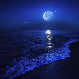 潮汐与孤岛和声伴奏